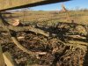 Andrew Hall: Woodturning (8)