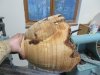 Arun Radysh Haasis: Woodturning (3)