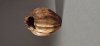 Gary Lowe: Woodturning (6)