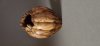 Gary Lowe: Woodturning (7)