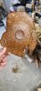 Gary Lowe: Woodturning (7)