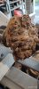 John Brown: Woodturning