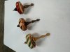 John Brown (Penn): Woodturning