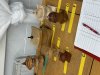 Martin Stacey: Woodturning (7)