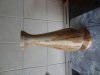 Patrick Lindsay: Woodturning (3)