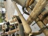 Paul Howard: Woodturning (4)