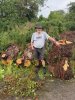 Phil Irons: Woodturning