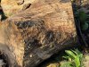Phil Irons: Woodturning (5)