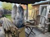 Steve Gordon: Woodturning