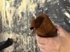 Steve Gordon: Woodturning